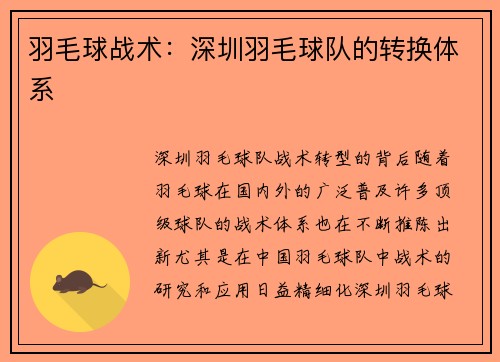 羽毛球战术：深圳羽毛球队的转换体系
